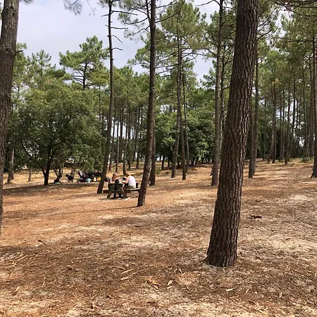 Le De Piqueyrote Дом отдыха Уртен