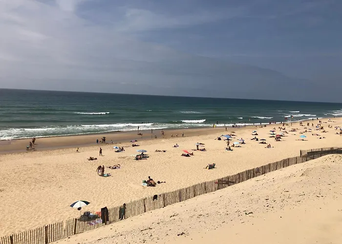 Feriehus Le De Piqueyrote Hourtin