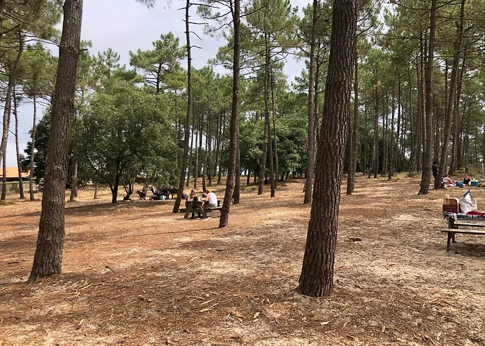 Le De Piqueyrote بيت للعطل هورتين